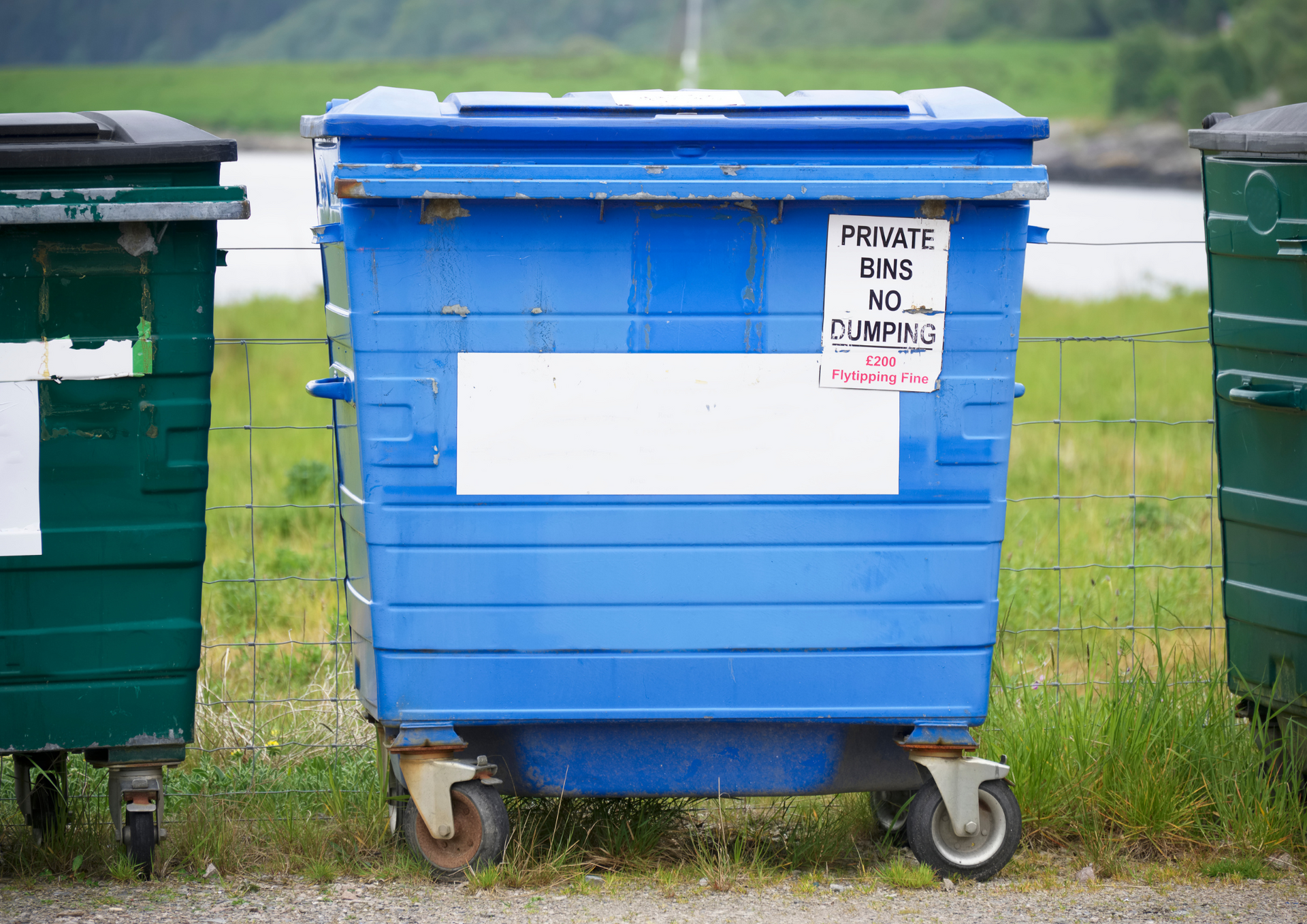 2 Yard Skip or 4 Yard Skip? Find the Best Fit for Your Project